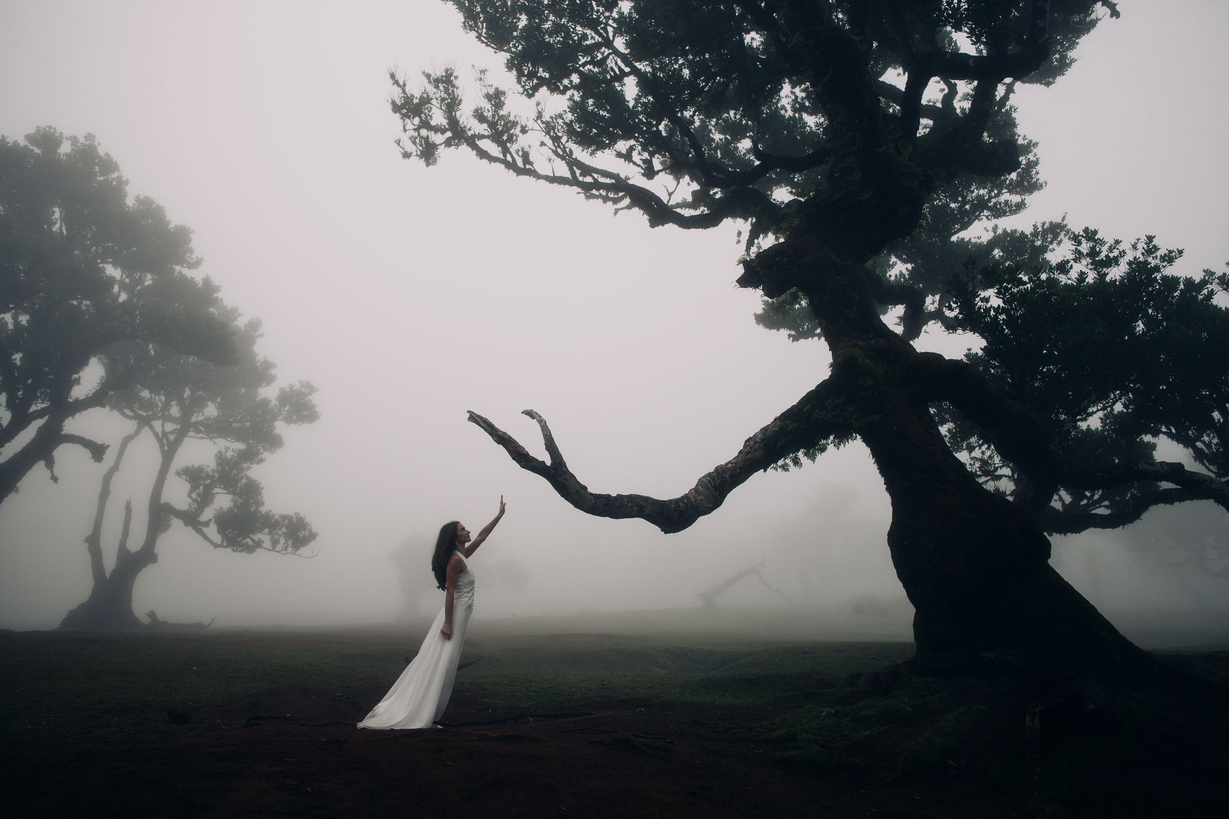 She reaches toward a bare laurel branch in low fog light, Fanal Forest, Madeira
